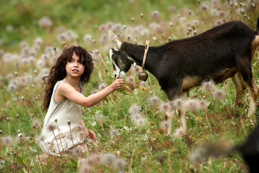海蒂和爷爷 Heidi‎ (2015)