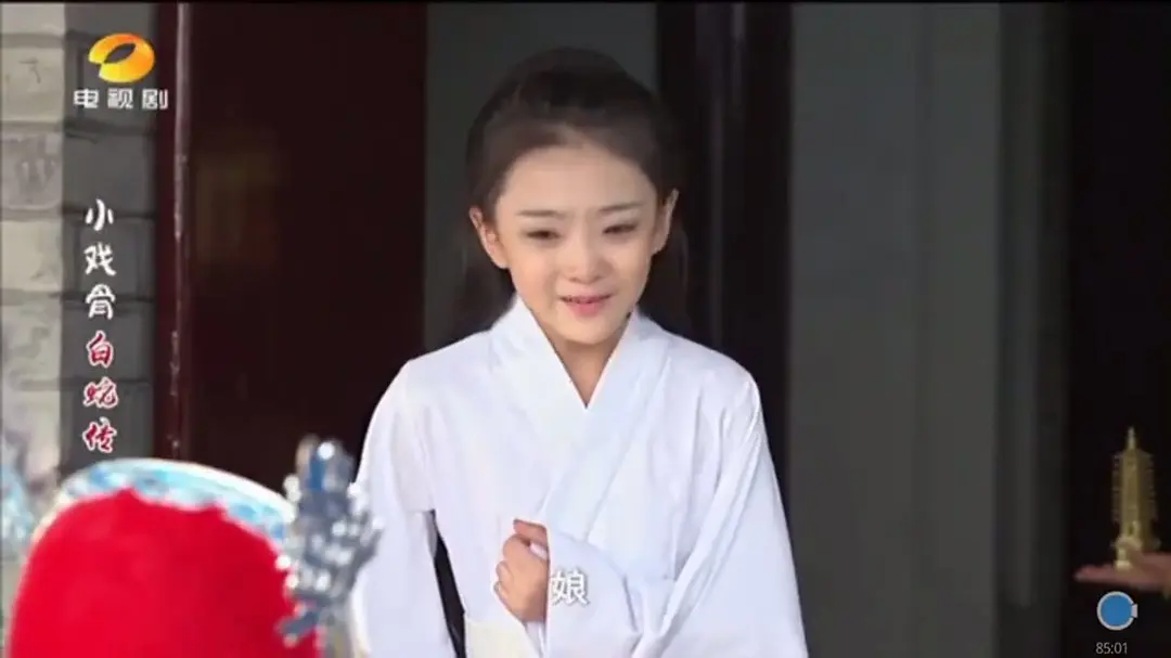 小戏骨：白蛇传‎ (2016)