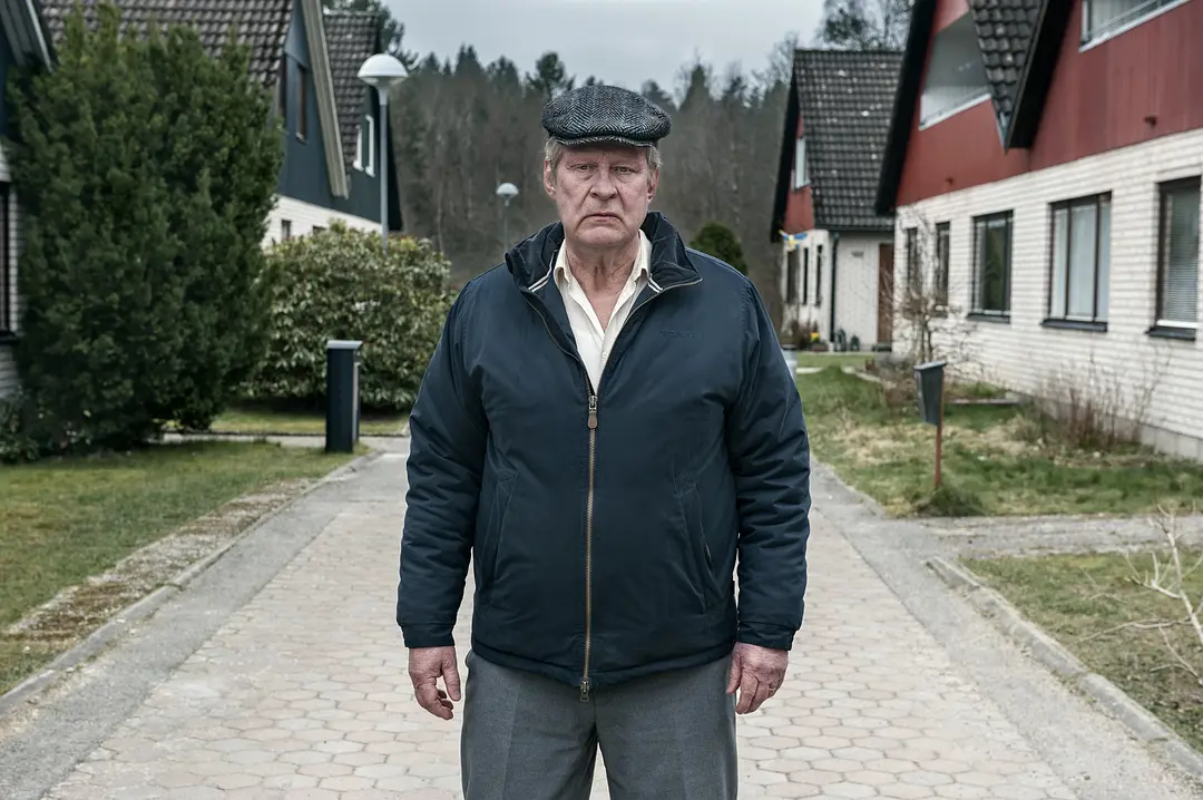 一个叫欧维的男人决定去死 En man som heter Ove (2015)