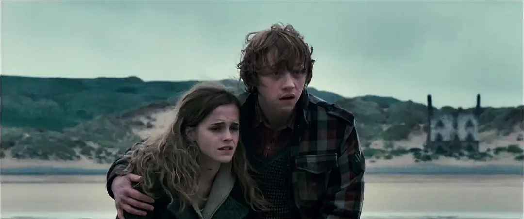 哈利·波特与死亡圣器(上) Harry Potter and the Deathly Hallows: Part 1 (2010)
