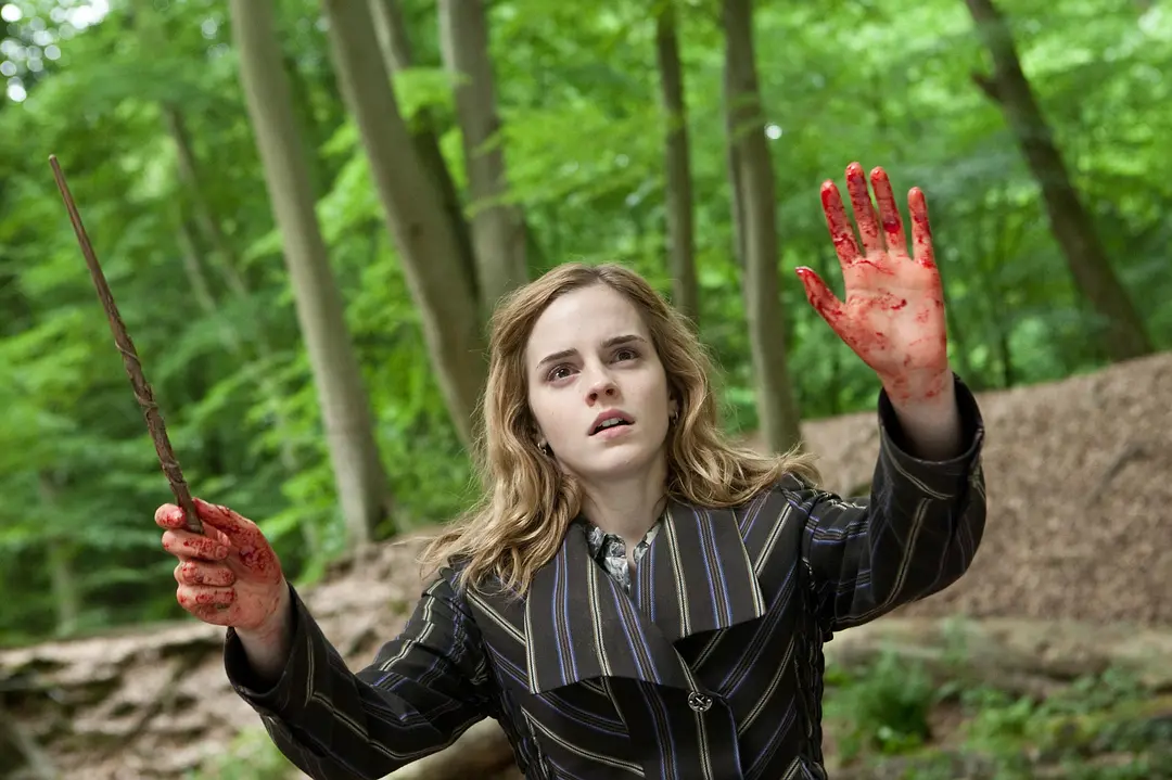 哈利·波特与死亡圣器(上) Harry Potter and the Deathly Hallows: Part 1 (2010)