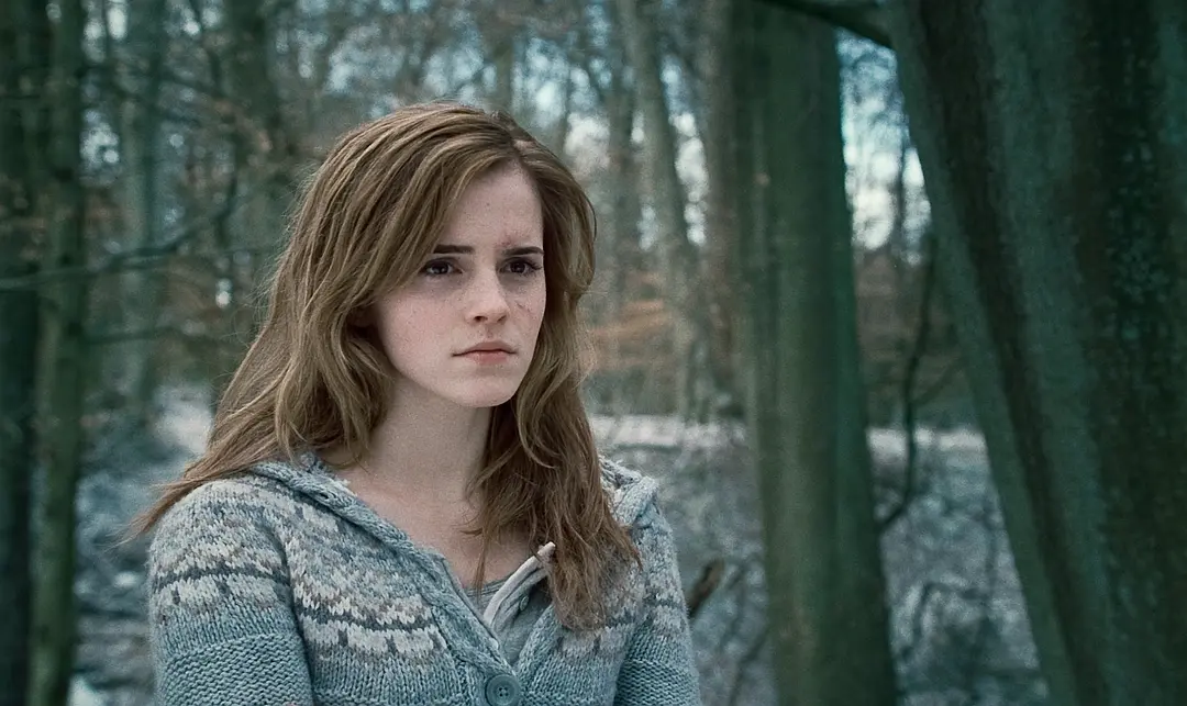 哈利·波特与死亡圣器(上) Harry Potter and the Deathly Hallows: Part 1 (2010)