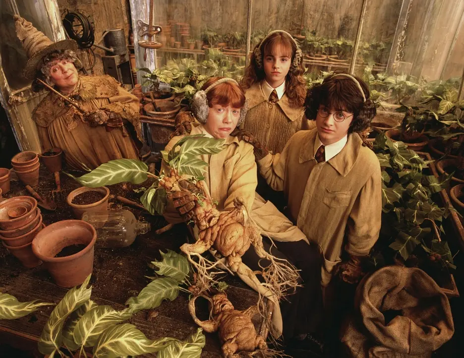 哈利·波特与密室 Harry Potter and the Chamber of Secrets (2002)