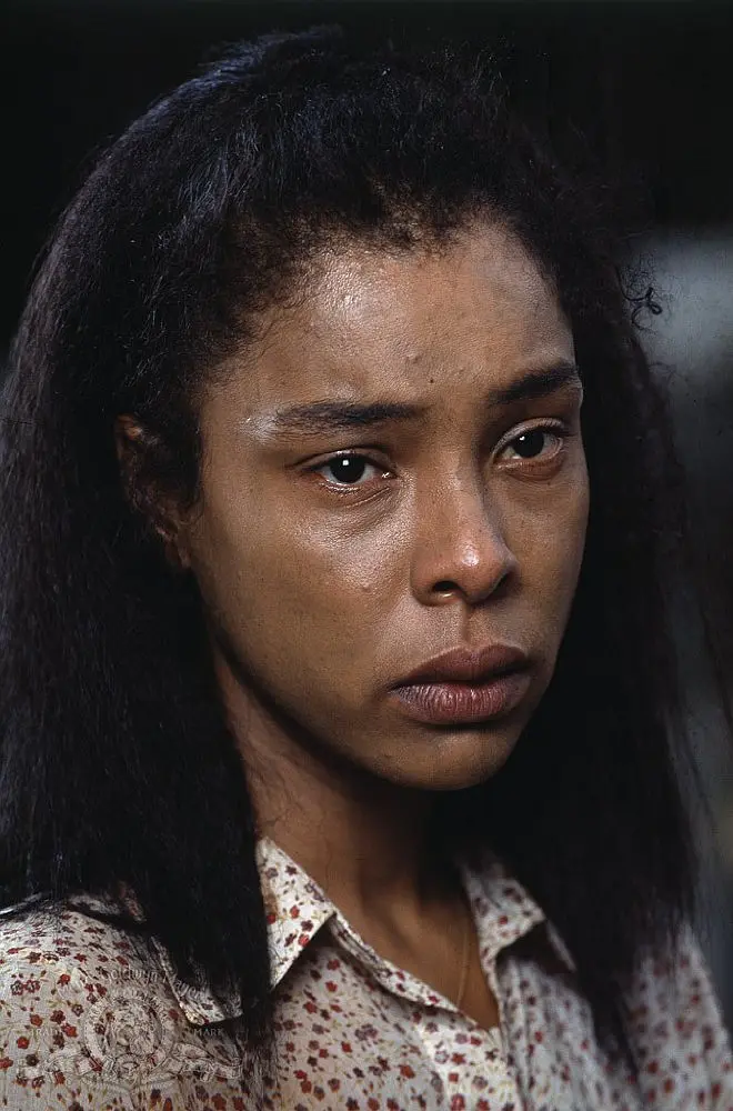 卢旺达饭店 Hotel Rwanda (2004)
