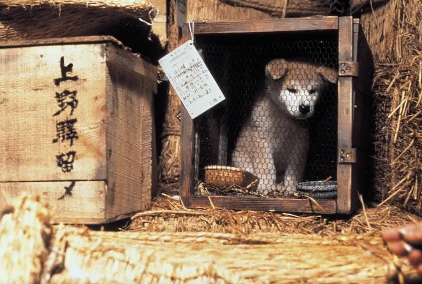 忠犬八公物语 ハチ公物語 (1987)