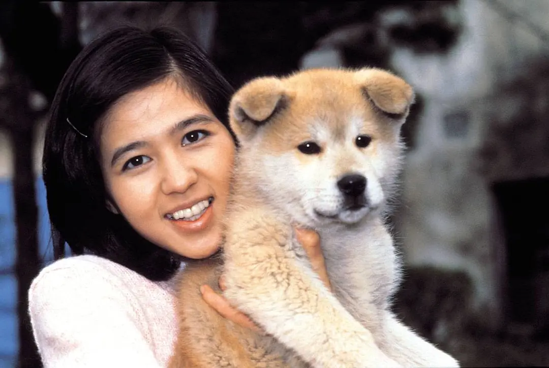 忠犬八公物语 ハチ公物語 (1987)