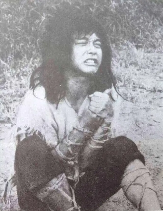 杨过与小龙女 楊過與小龍女 (1983)