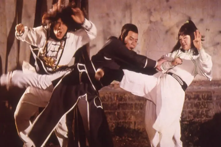 一招半式闯江湖 點只功夫咁簡單 (1980)
