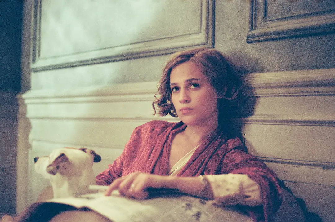 丹麦女孩 The Danish Girl (2015)