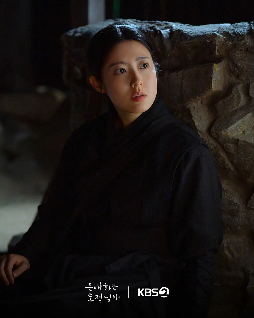 亲爱的盗贼大人 은애하는 도적님아 (2026)