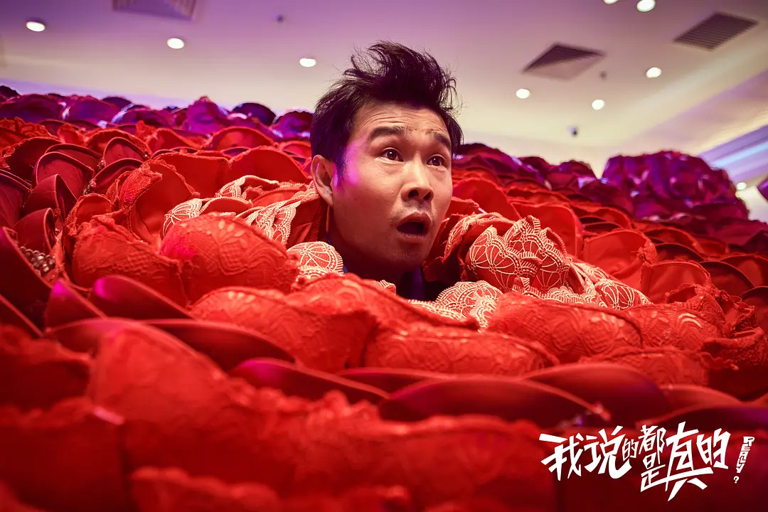 我说的都是真的 (2018)