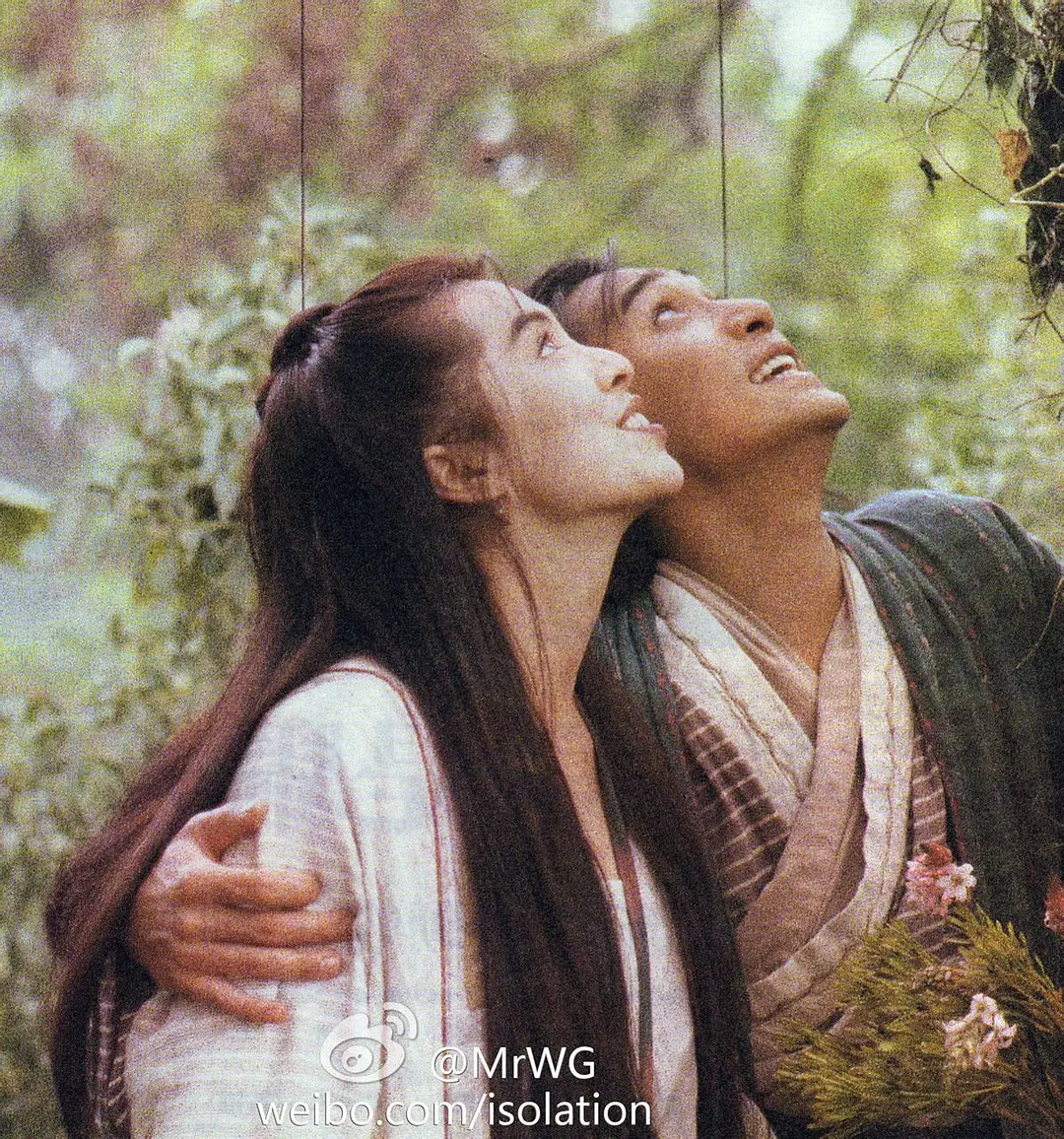 新流星蝴蝶剑 新流星蝴蝶劍 (1993)