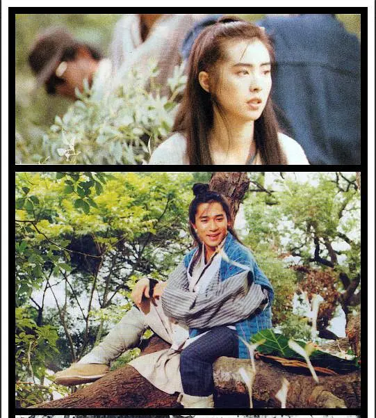 新流星蝴蝶剑 新流星蝴蝶劍 (1993)