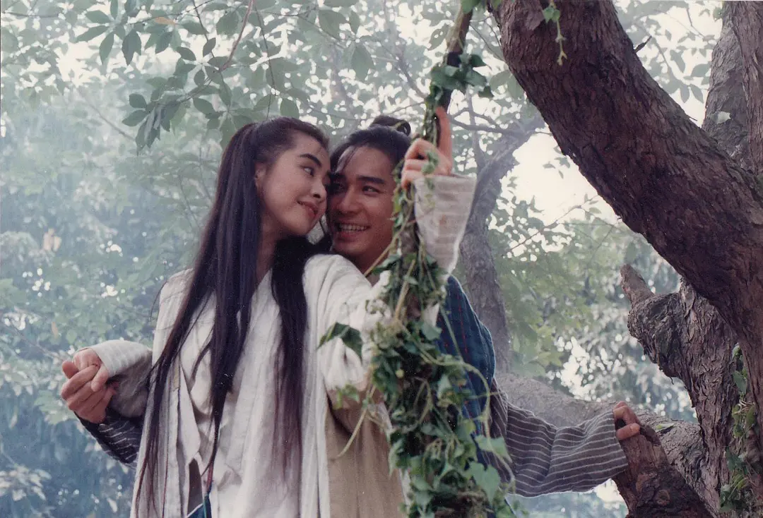 新流星蝴蝶剑 新流星蝴蝶劍 (1993)