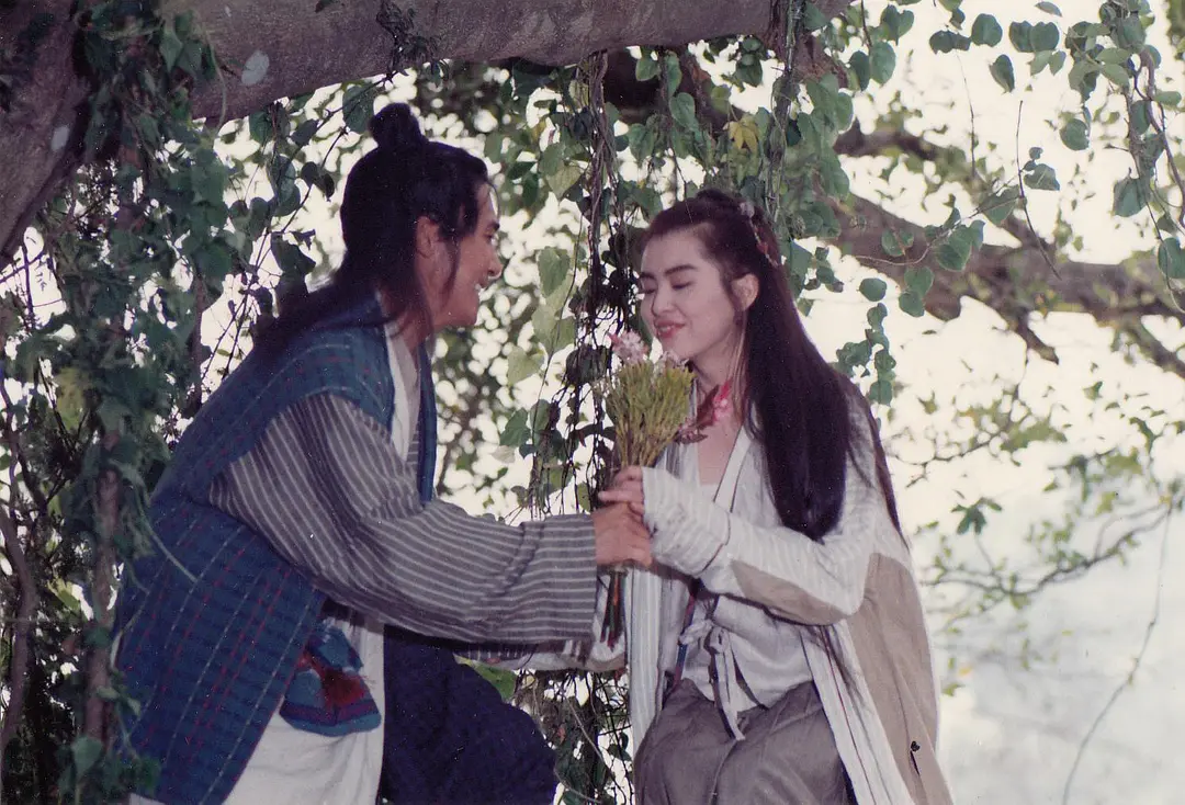 新流星蝴蝶剑 新流星蝴蝶劍 (1993)