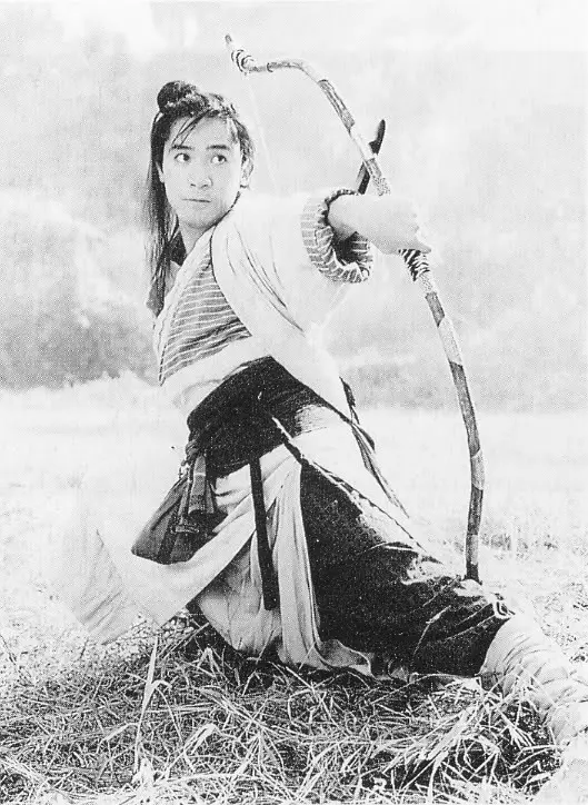 新流星蝴蝶剑 新流星蝴蝶劍 (1993)