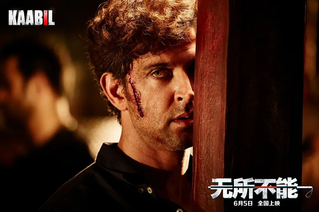 无所不能 Kaabil (2017)