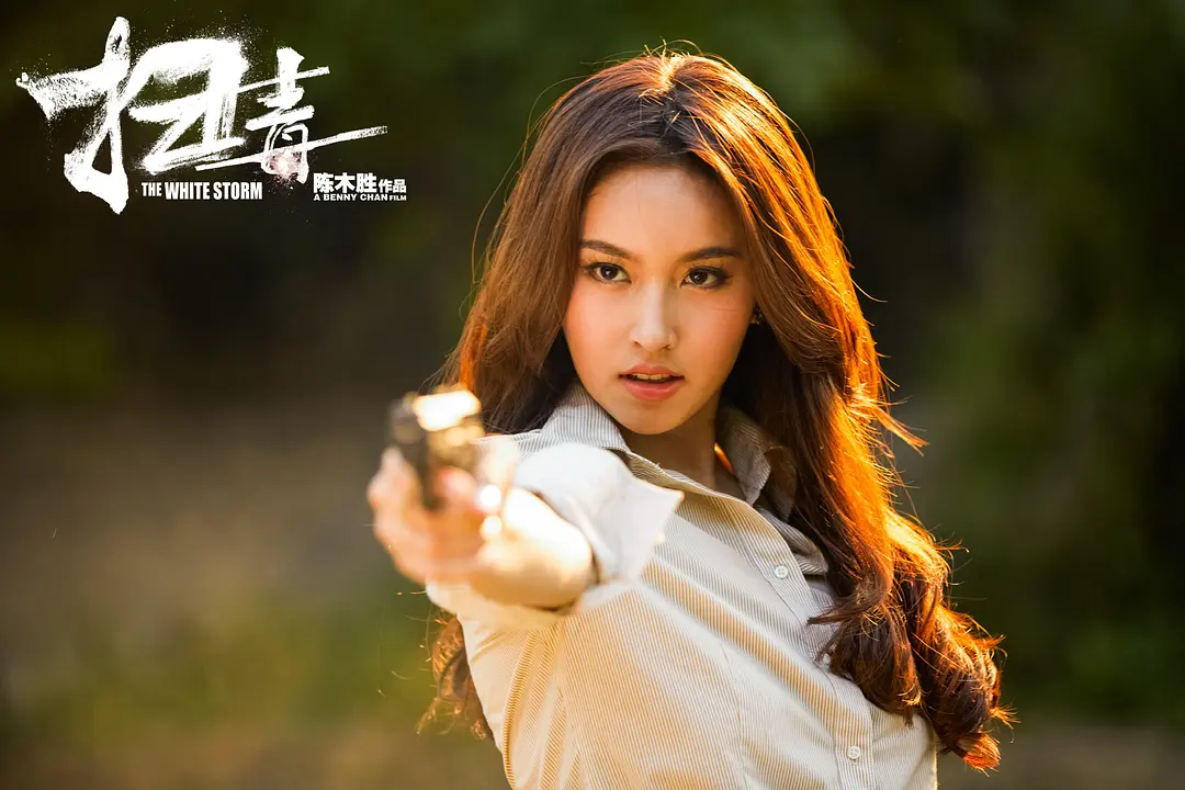 扫毒 掃毒 (2013)