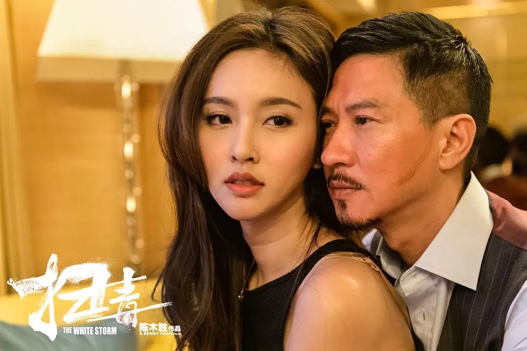 扫毒 掃毒 (2013)