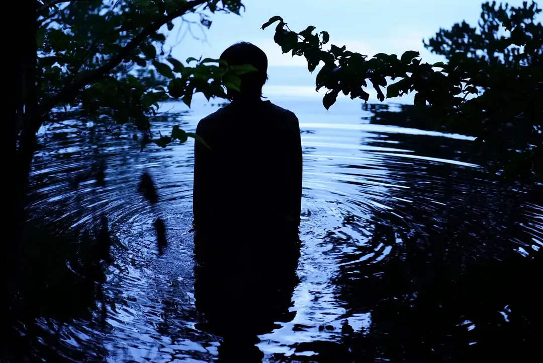 流浪地球 (2019)