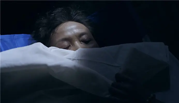 死亡笔记 (2016)