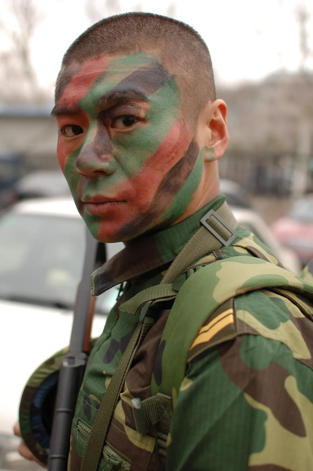 我是特种兵 (2011)