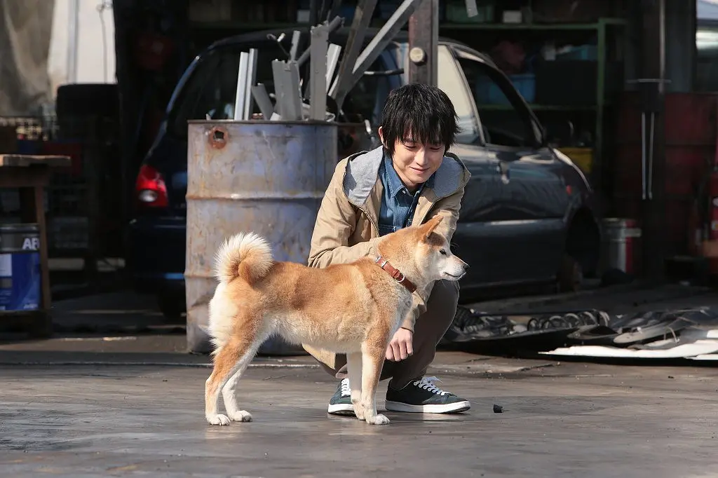 犬屋敷 真人版 いぬやしき (2018)