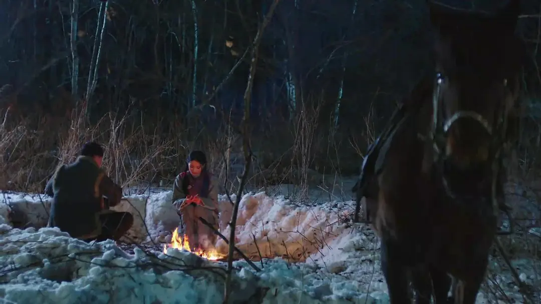剿匪龙虎山 (2018)
