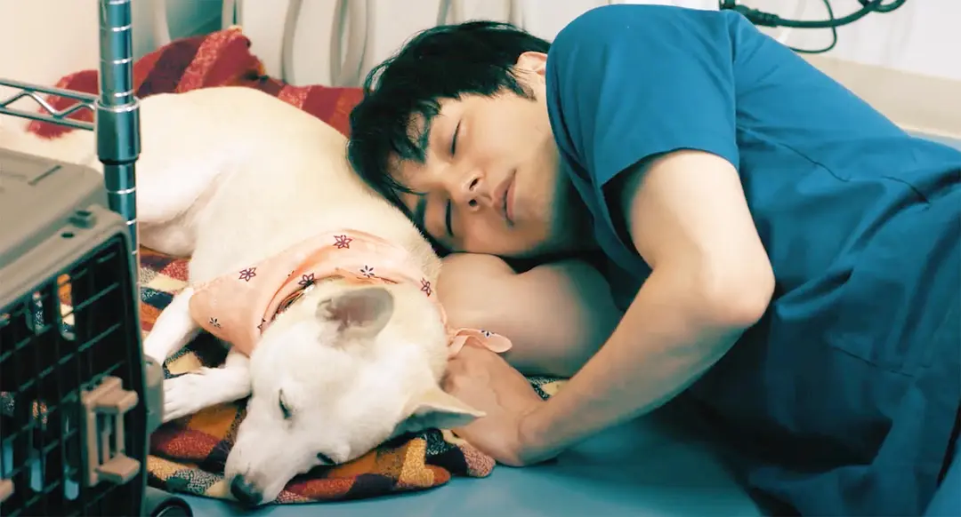 犬部！ (2021)