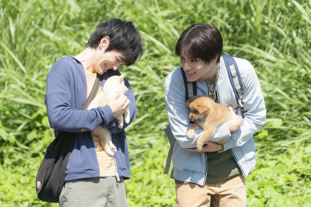 犬部！ (2021)