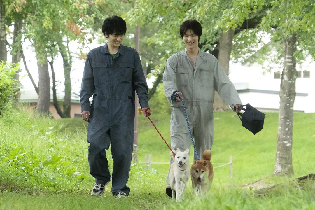 犬部！ (2021)