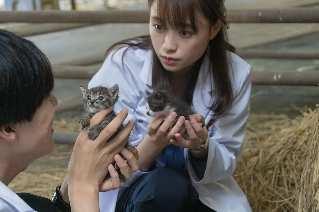 犬部！ (2021)