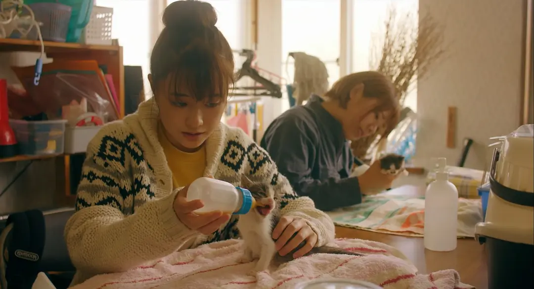 犬部！ (2021)