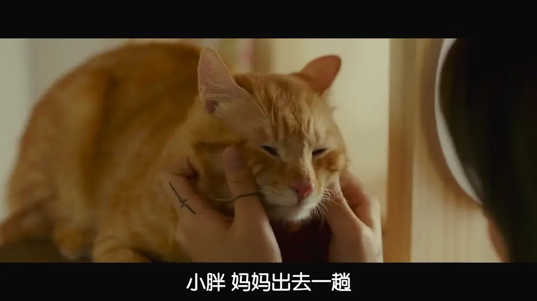 特送 특송 (2022)
