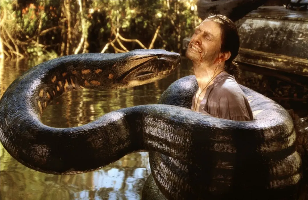 狂蟒之灾 Anaconda (1997)