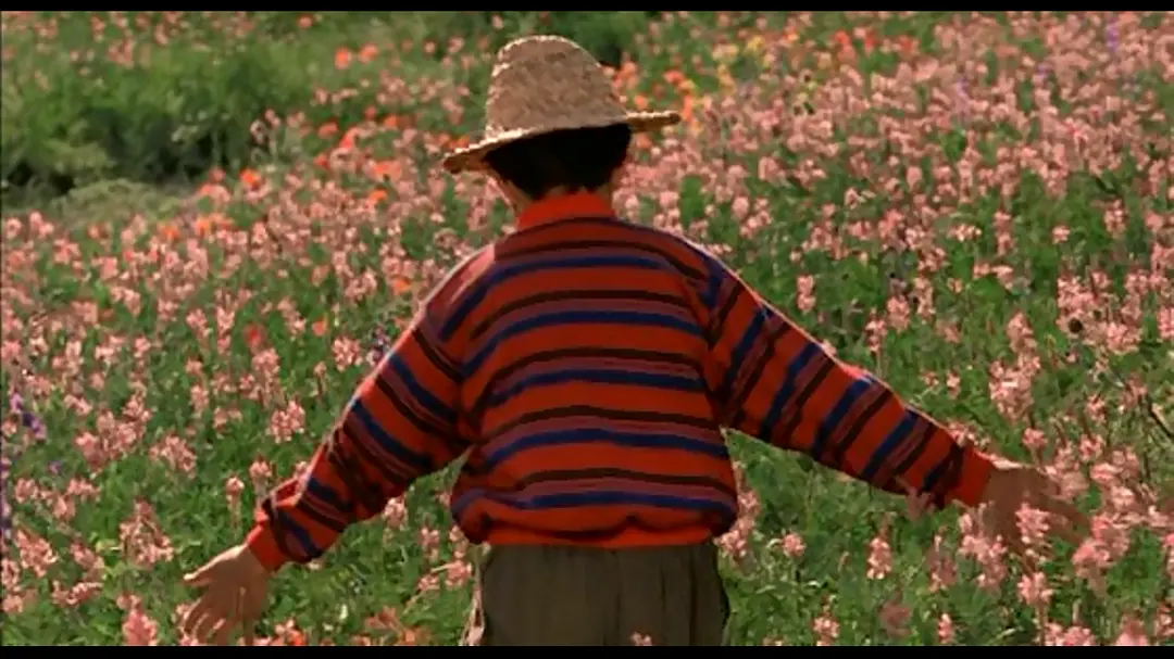 天堂的颜色 رنگ خدا (1999)