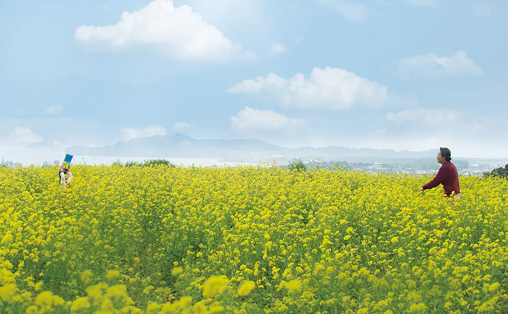 季春奶奶 계춘할망 (2016)