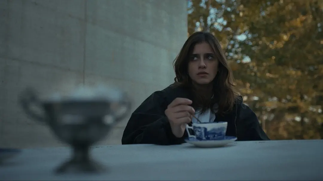 孤独的阿曼达 Amanda (2022)