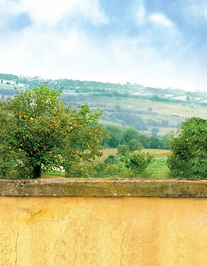 托斯卡纳艳阳下 Under the Tuscan Sun (2003)