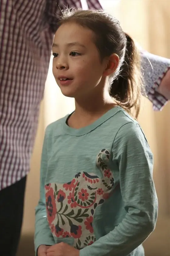 摩登家庭 第六季 Modern Family Season 6 (2014)