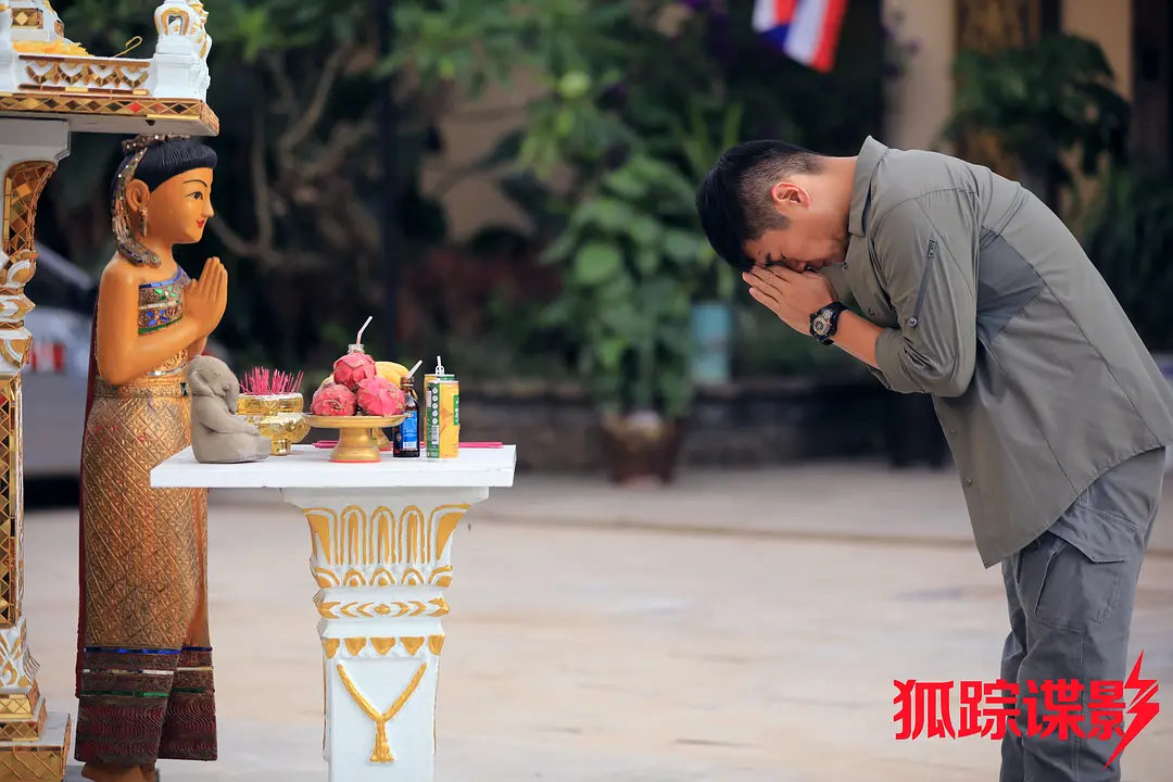 狐踪谍影 (2020)