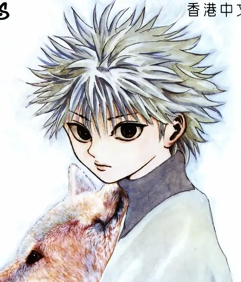 全职猎人 Hunter x Hunter (1999)