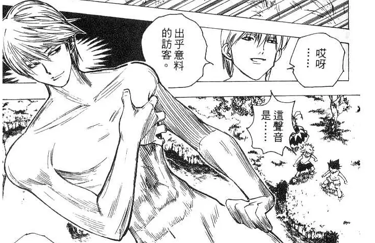 全职猎人 Hunter x Hunter (1999)