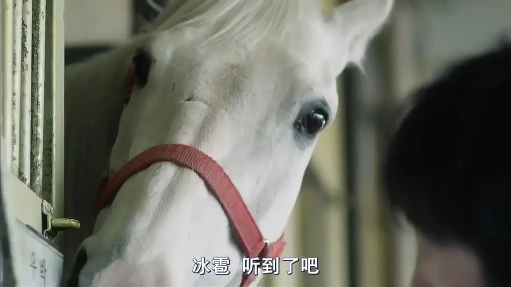 冠军 챔프 (2011)