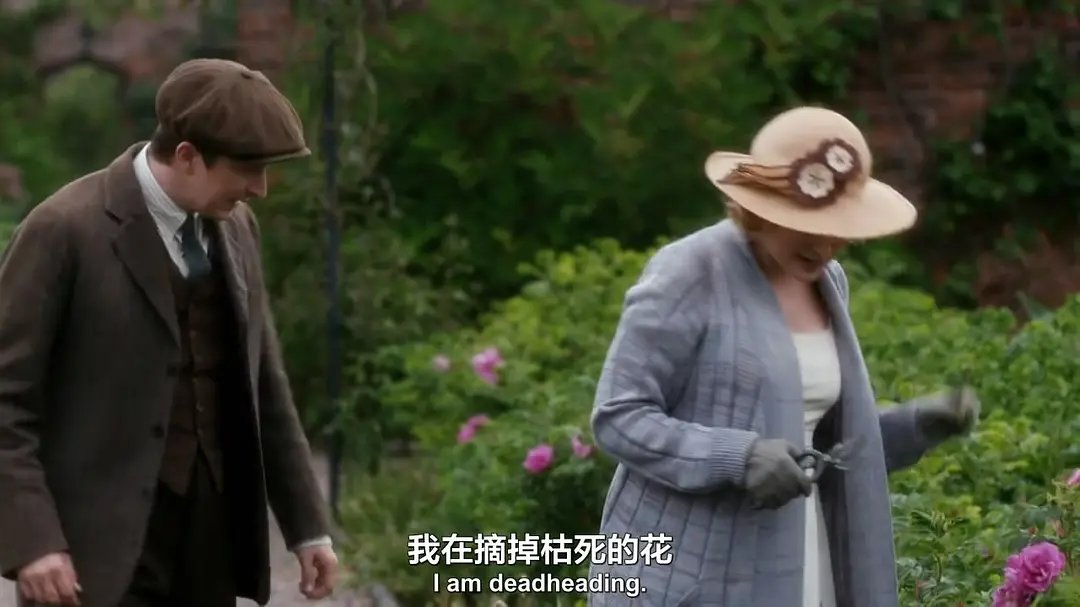 我们的动物园 Our Zoo (2014)