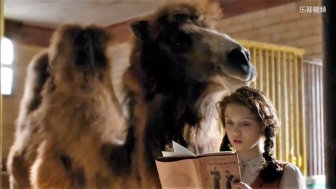 我们的动物园 Our Zoo (2014)