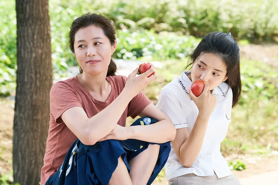小森林 리틀 포레스트 (2018)