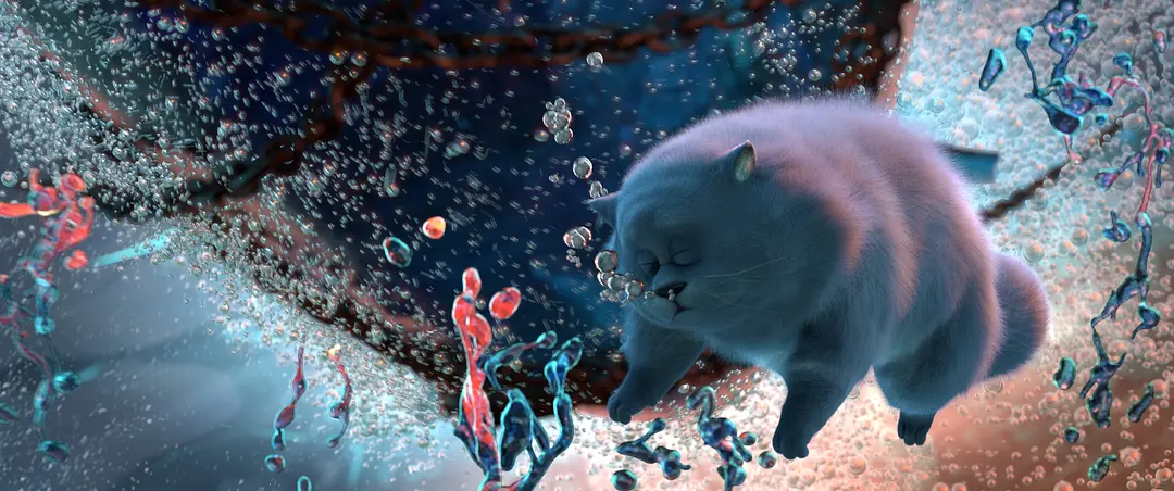 猫与桃花源 (2018)