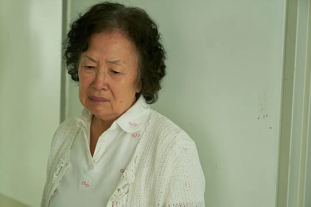 天衣无缝的她 감쪽같은 그녀 (2019)