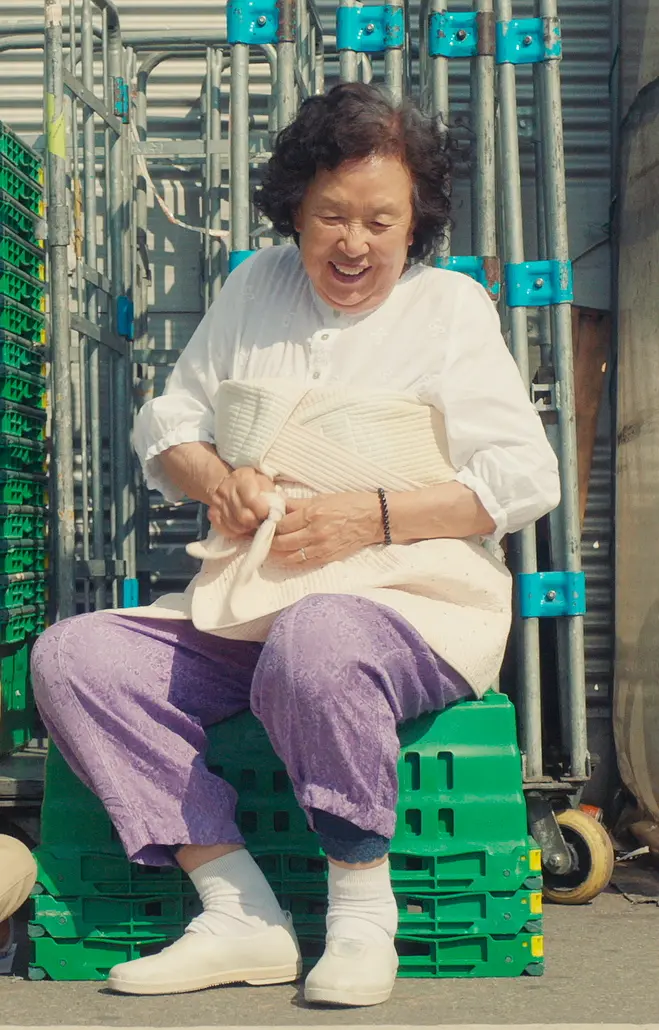 天衣无缝的她 감쪽같은 그녀 (2019)